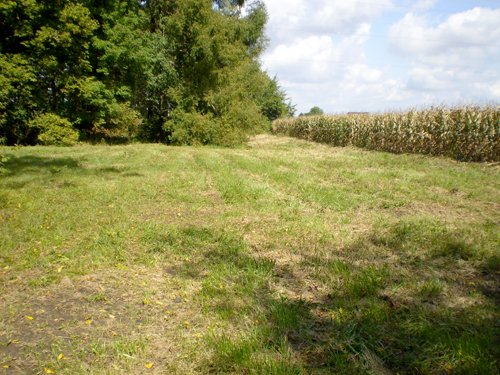 Property photo 3 - 75+/- Acres in 9 Tracts